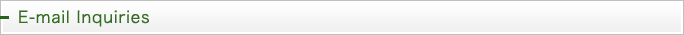 E-mail Inquiries